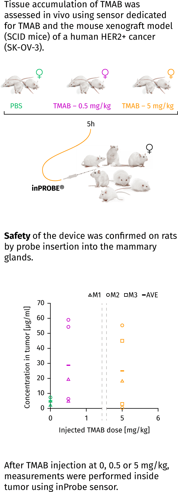 text