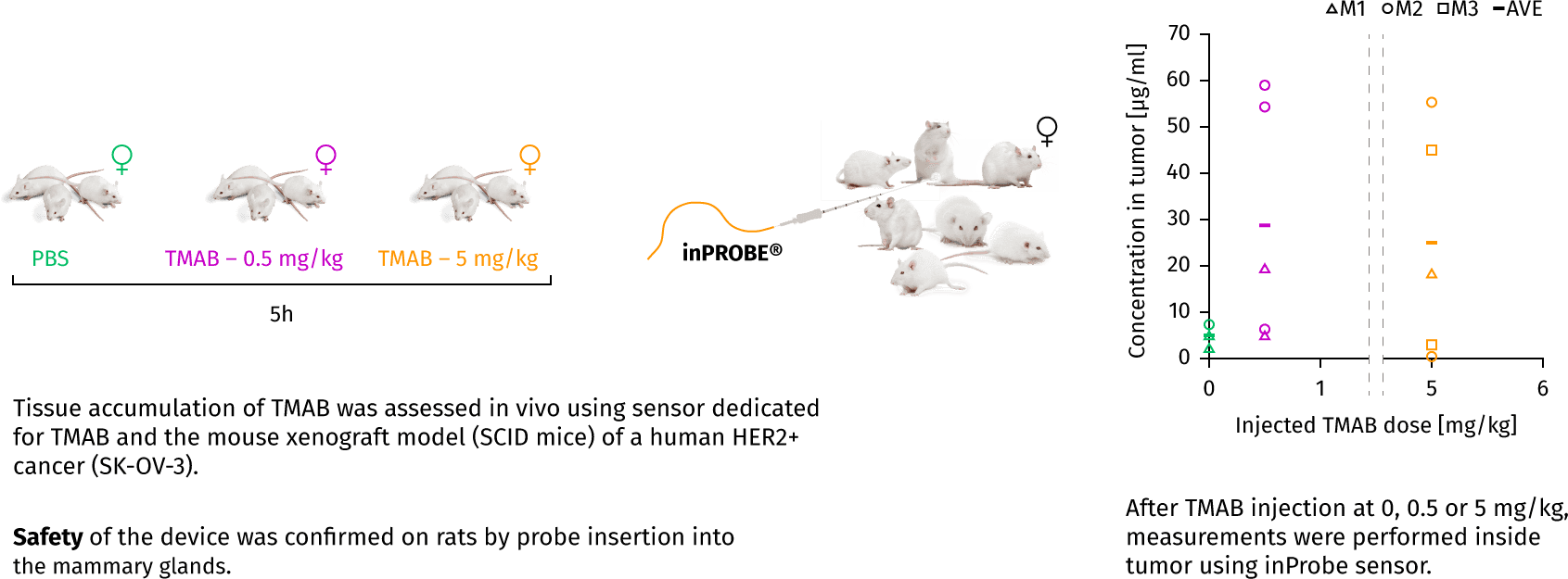 text